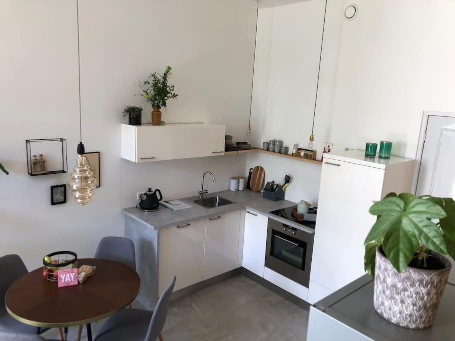 Luxurious Appartement With Sauna And Kitchen In Center Of Dordrecht Exteriér fotografie